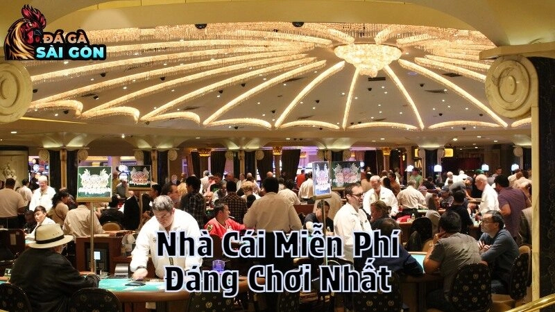 Danh Sách Nhà Cái Miễn Phí Đáng Chơi Nhất