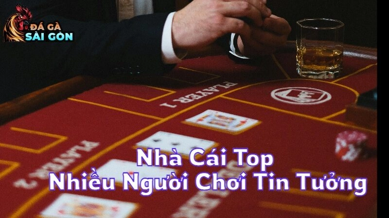 Nhà Cái Top Được Nhiều Người Chơi Tin Tưởng